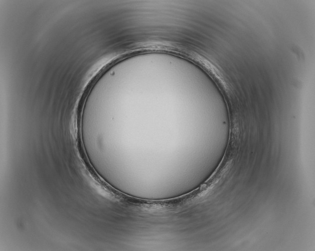 X0000112351082200909031844