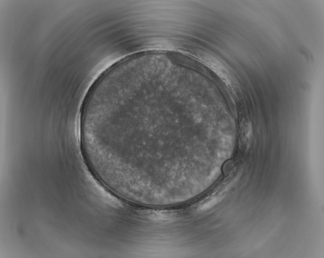 X0000112351084200909031844