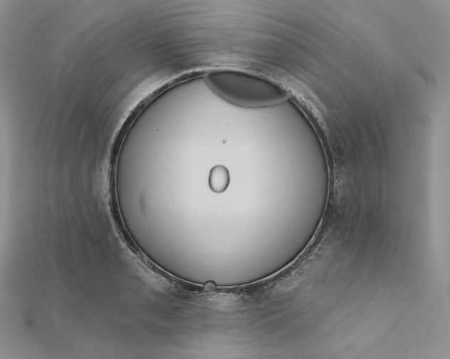 X0000112351085200909031844