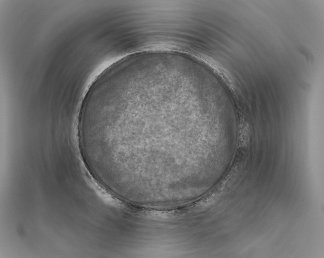 X0000112351086200909031844