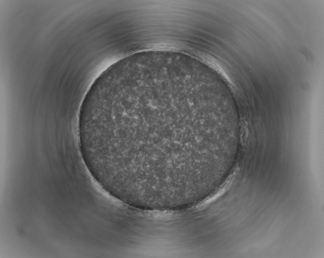 X0000112351087200909031844