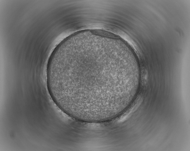 X0000112351088200909031844