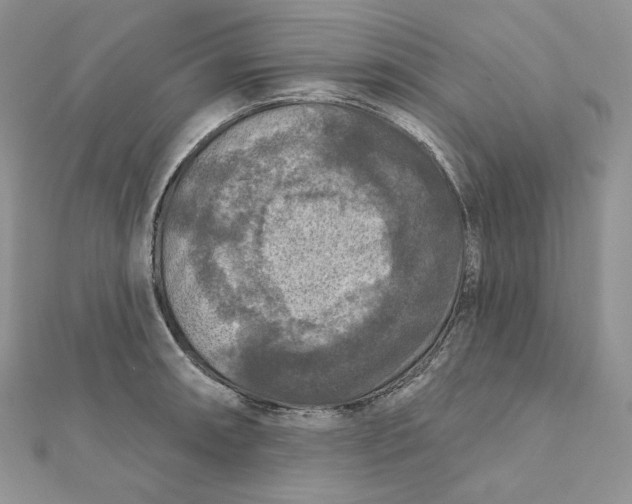 X0000112351090200909031844