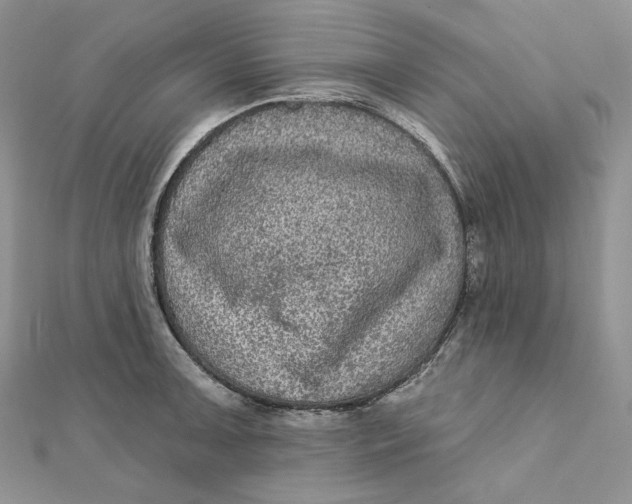 X0000112351091200909031844