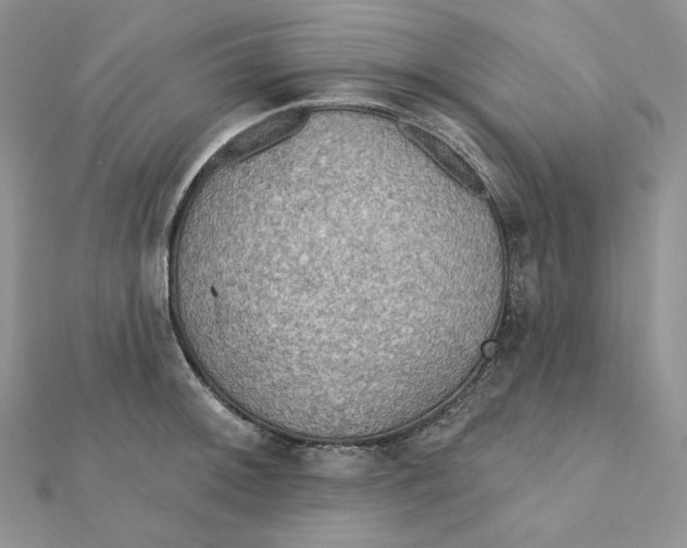 X0000112351092200909031844