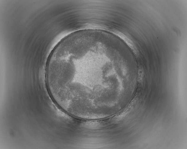 X0000112351094200909031844