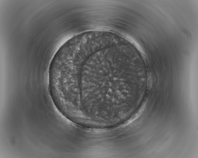 X0000112351095200909031844