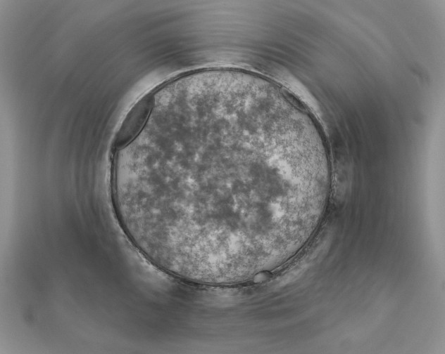 X0000112351096200909031844