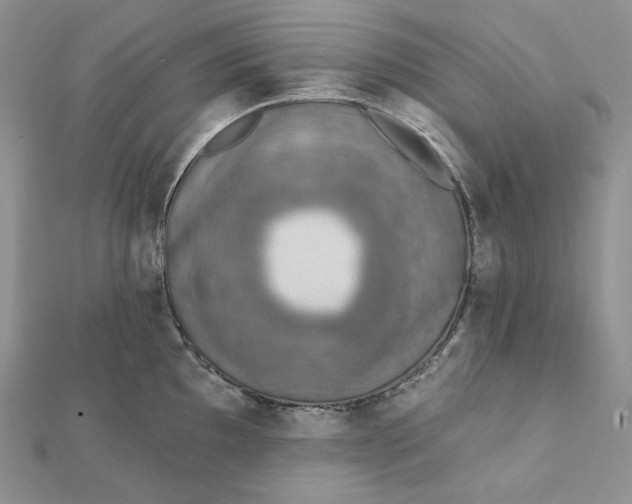 X0000112351097200909031844