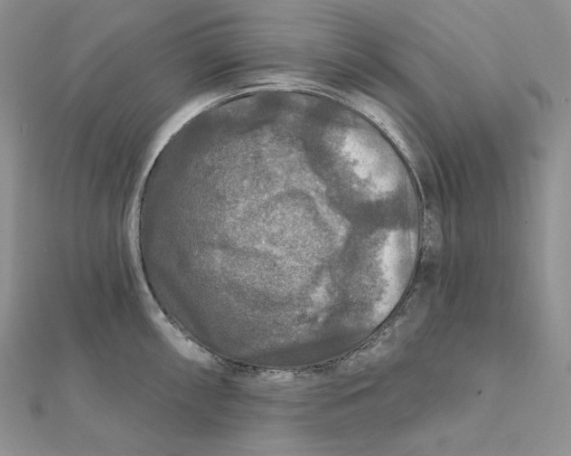 X0000112351098200909031844