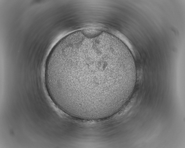 X0000112351099200909031844