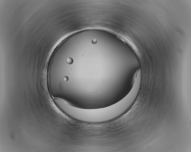 X0000112351100200909031844