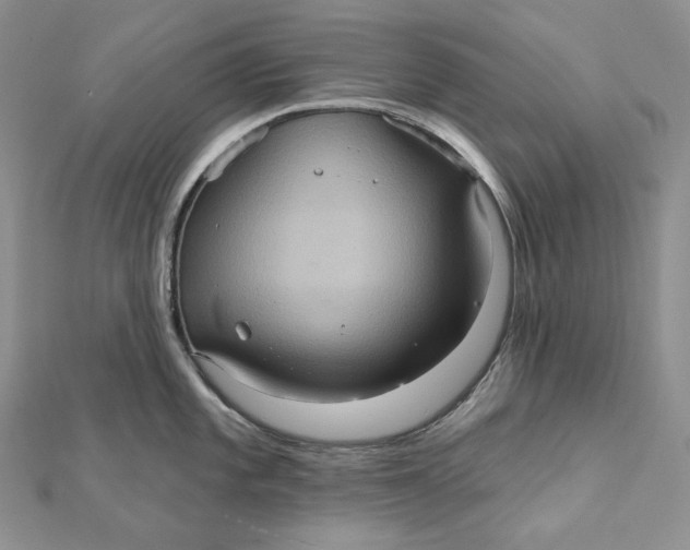 X0000112351101200909031844