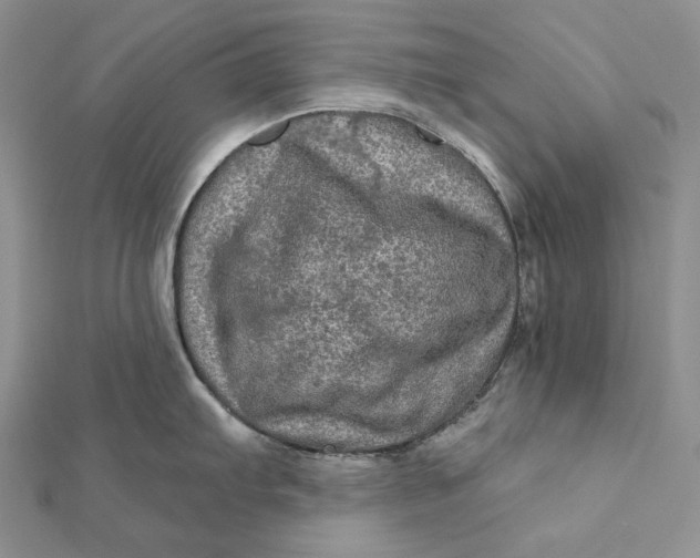 X0000112351103200909031843