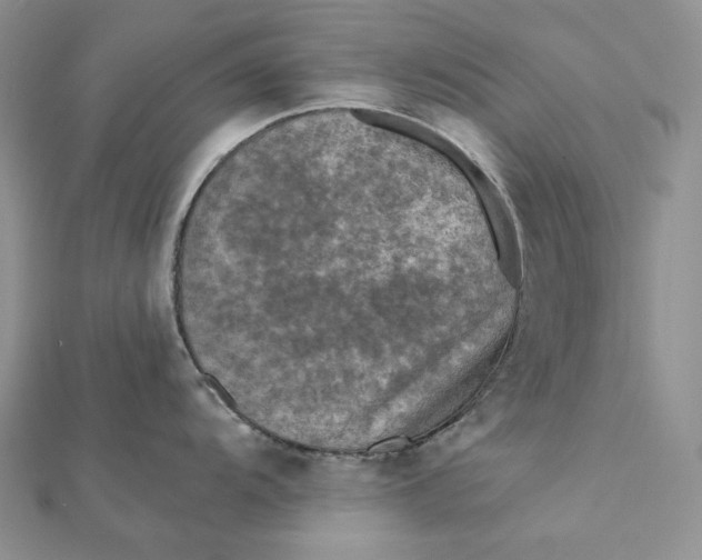 X0000112351104200909031843