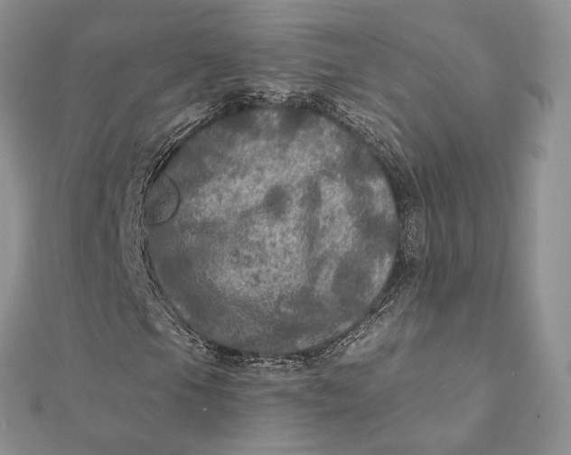 X0000112351105200909031843