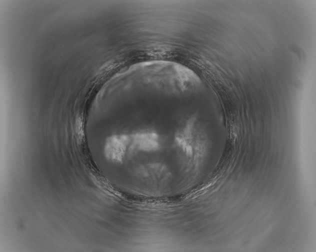 X0000112351106200909031843