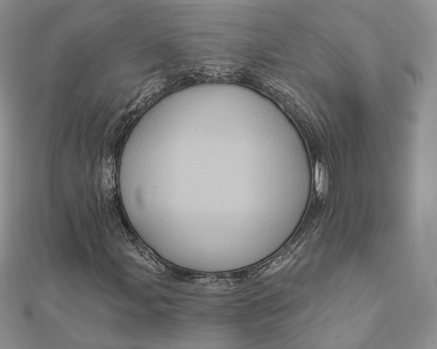 X0000112351107200909031843