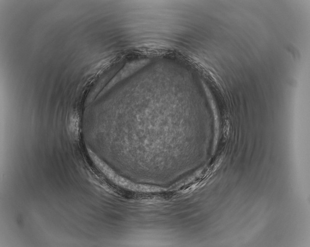 X0000112351108200909031843