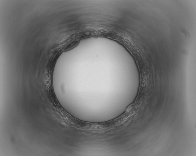 X0000112351109200909031843