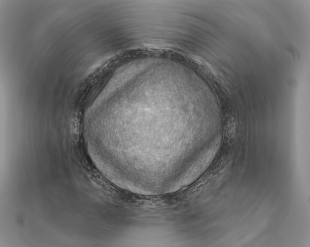 X0000112351110200909031843