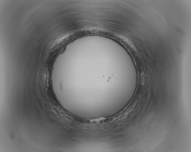 X0000112351111200909031843