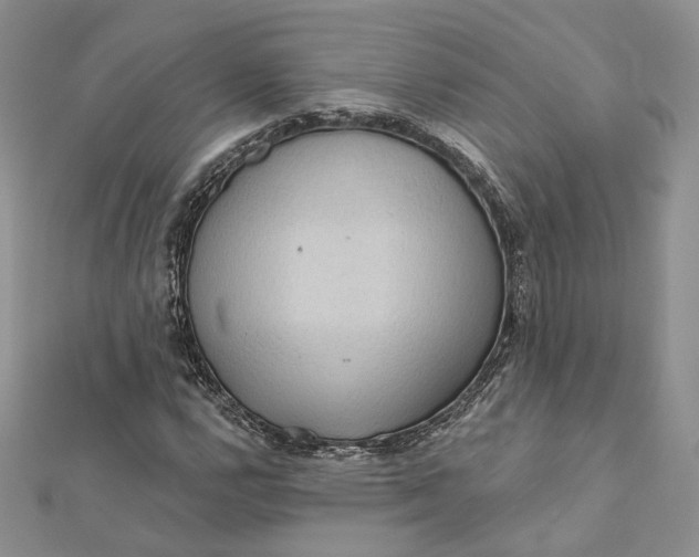 X0000112351112200909031843