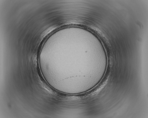 X0000112351113200909031843