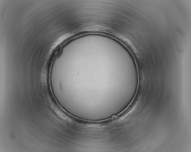 X0000112351114200909031843