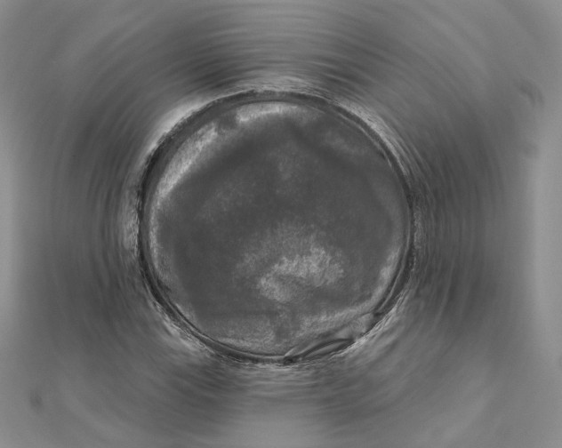 X0000112351115200909031843