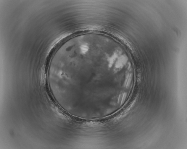 X0000112351117200909031843