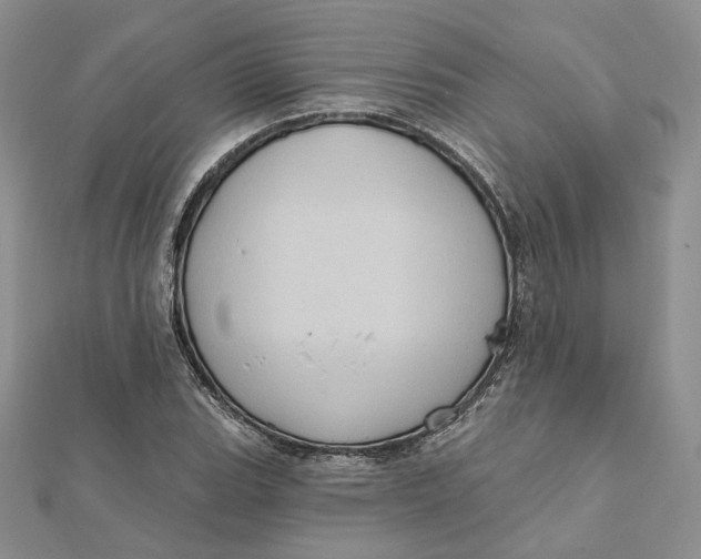 X0000112351119200909031843