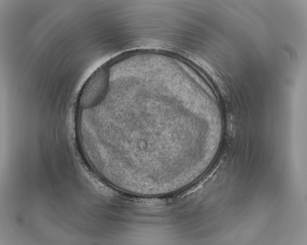 X0000112351120200909031843