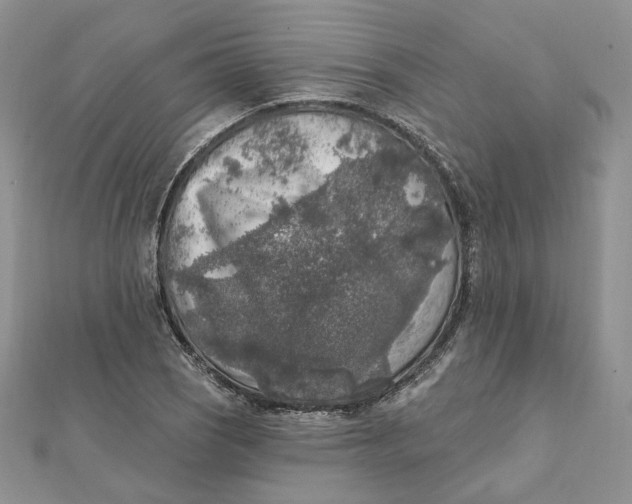 X0000112351121200909031843