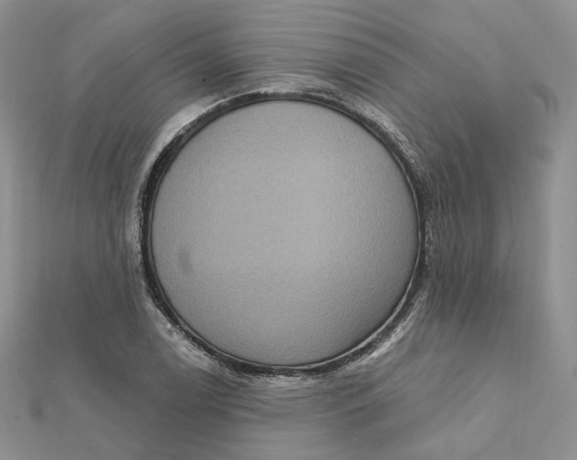 X0000112351122200909031843