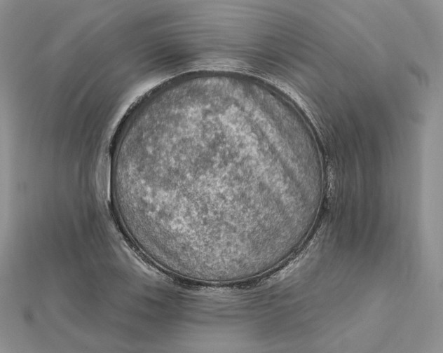 X0000112351123200909031843