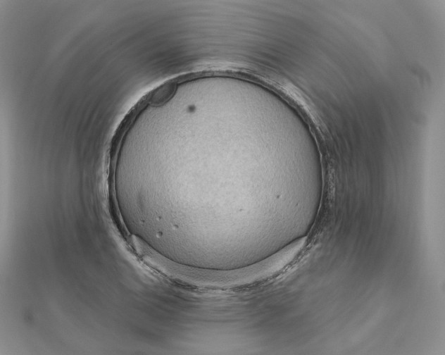 X0000112351124200909031843