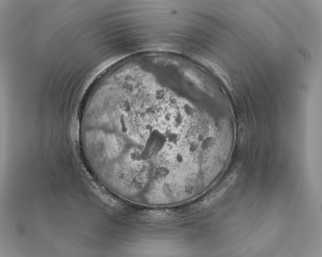 X0000112351125200909031843