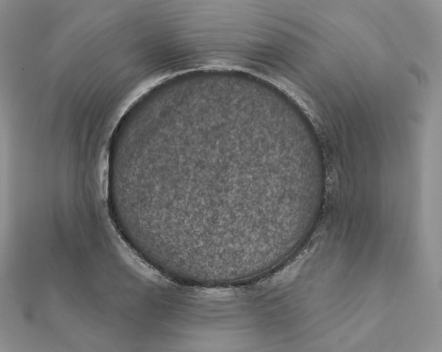 X0000112351126200909031843