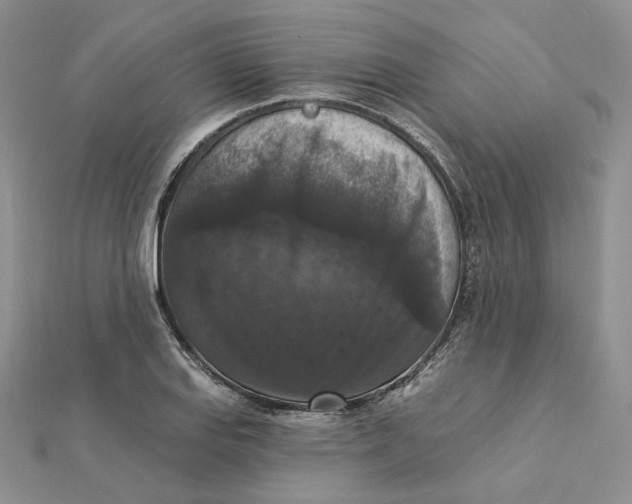 X0000112351127200909031843