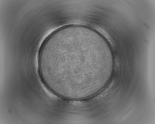 X0000112351128200909031843