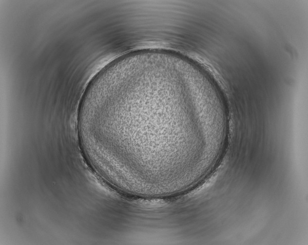 X0000112351129200909031843