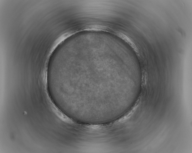 X0000112351130200909031843