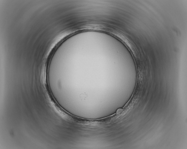 X0000112351131200909031843