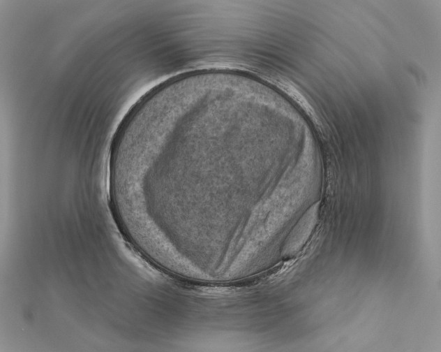 X0000112351132200909031843