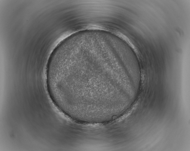 X0000112351133200909031843