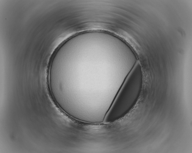 X0000112351134200909031843