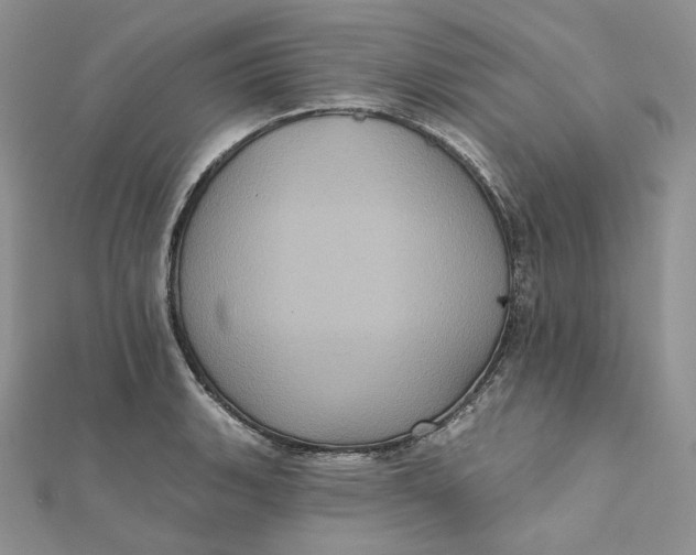 X0000112351135200909031843