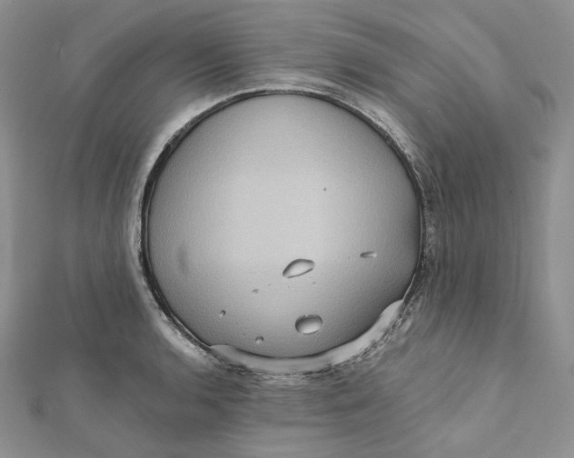 X0000112351136200909031843