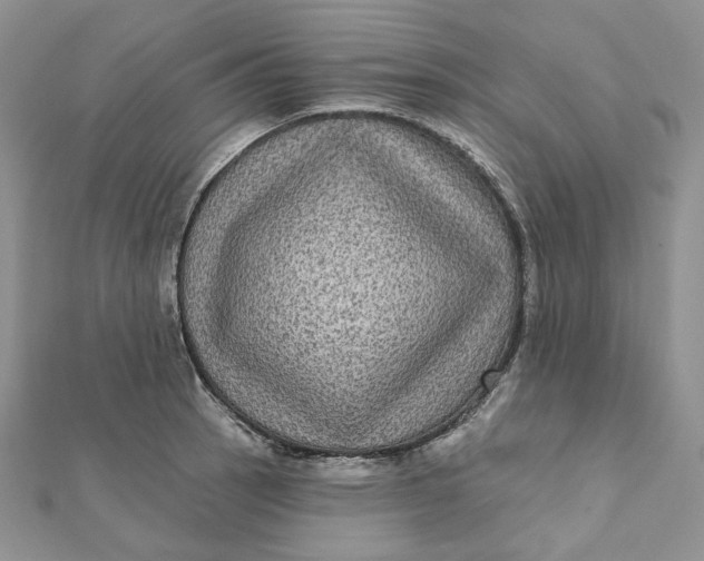 X0000112351137200909031843